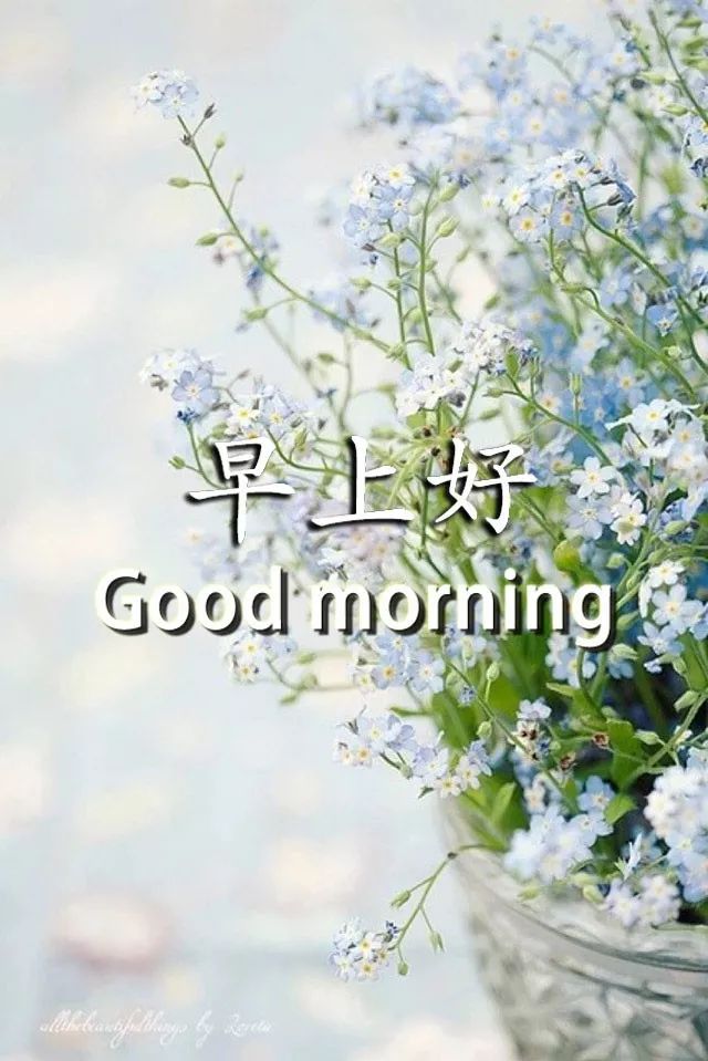 今日更新早上好表情包，岁岁平安，平安健康，快乐如意图片