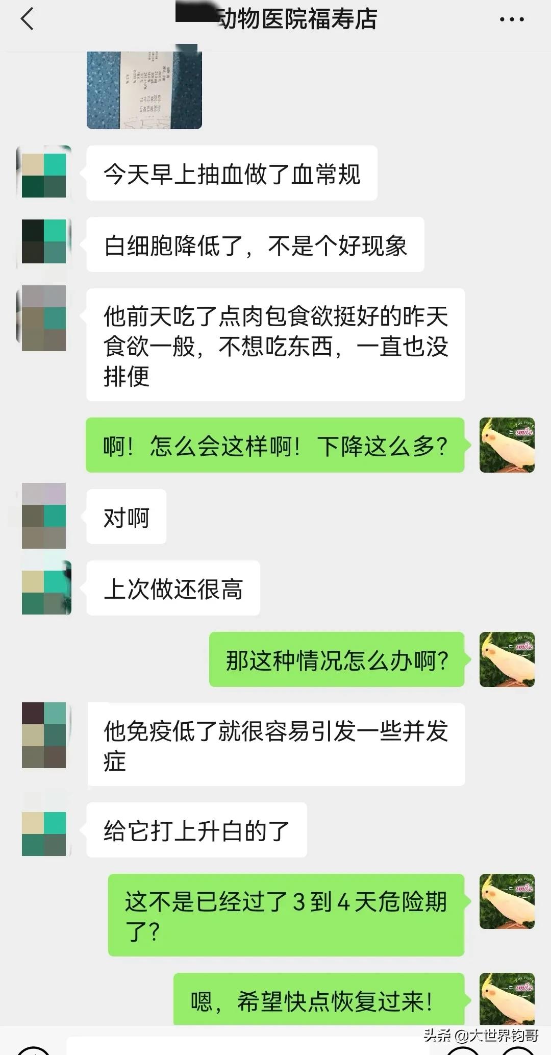 我家狗狗幼犬從得細小到康復的驚險親身經歷