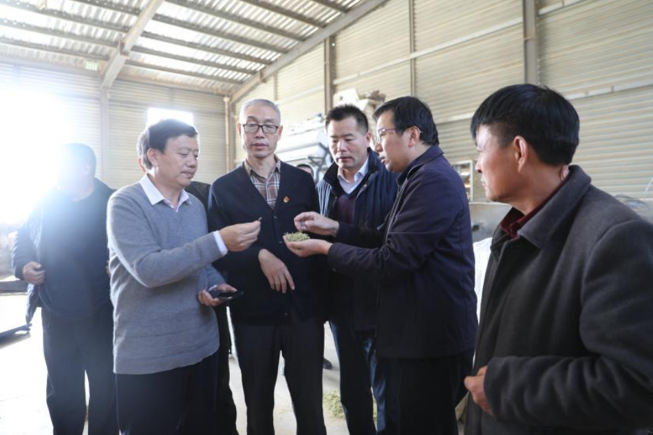 郑城镇组织开展省派第一书记现场观摩活动