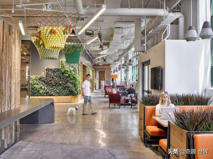 全球 10 大最酷办公室