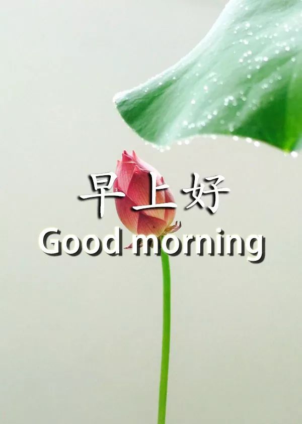 清晨问候朋友早上好的温馨祝福语句子 愿我们共同拥有平安健康快乐图片