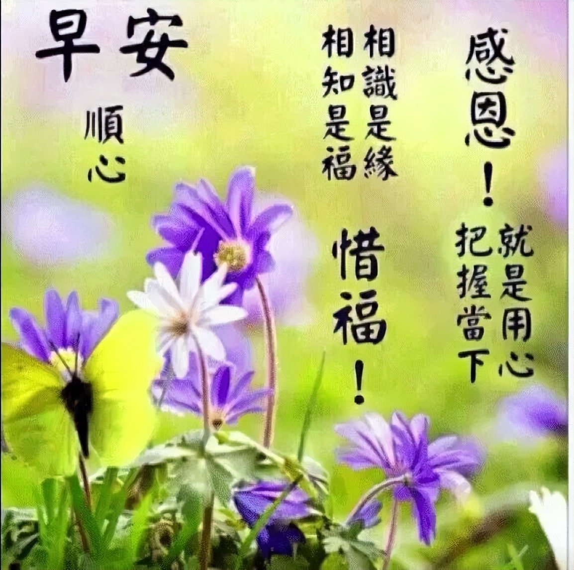 清晨聊天不用打字的祝福图片 早上好，记得带上自己的阳光图片