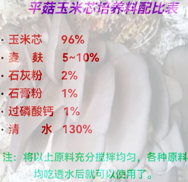 培养料用了玉米芯，为何平菇产量反而低了？可能是这个因素所致
