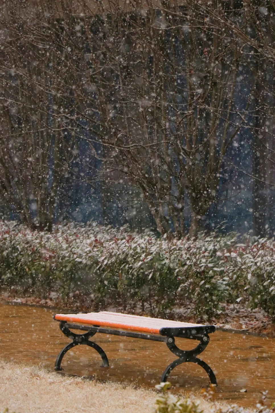 与你一起邂逅洛师初雪