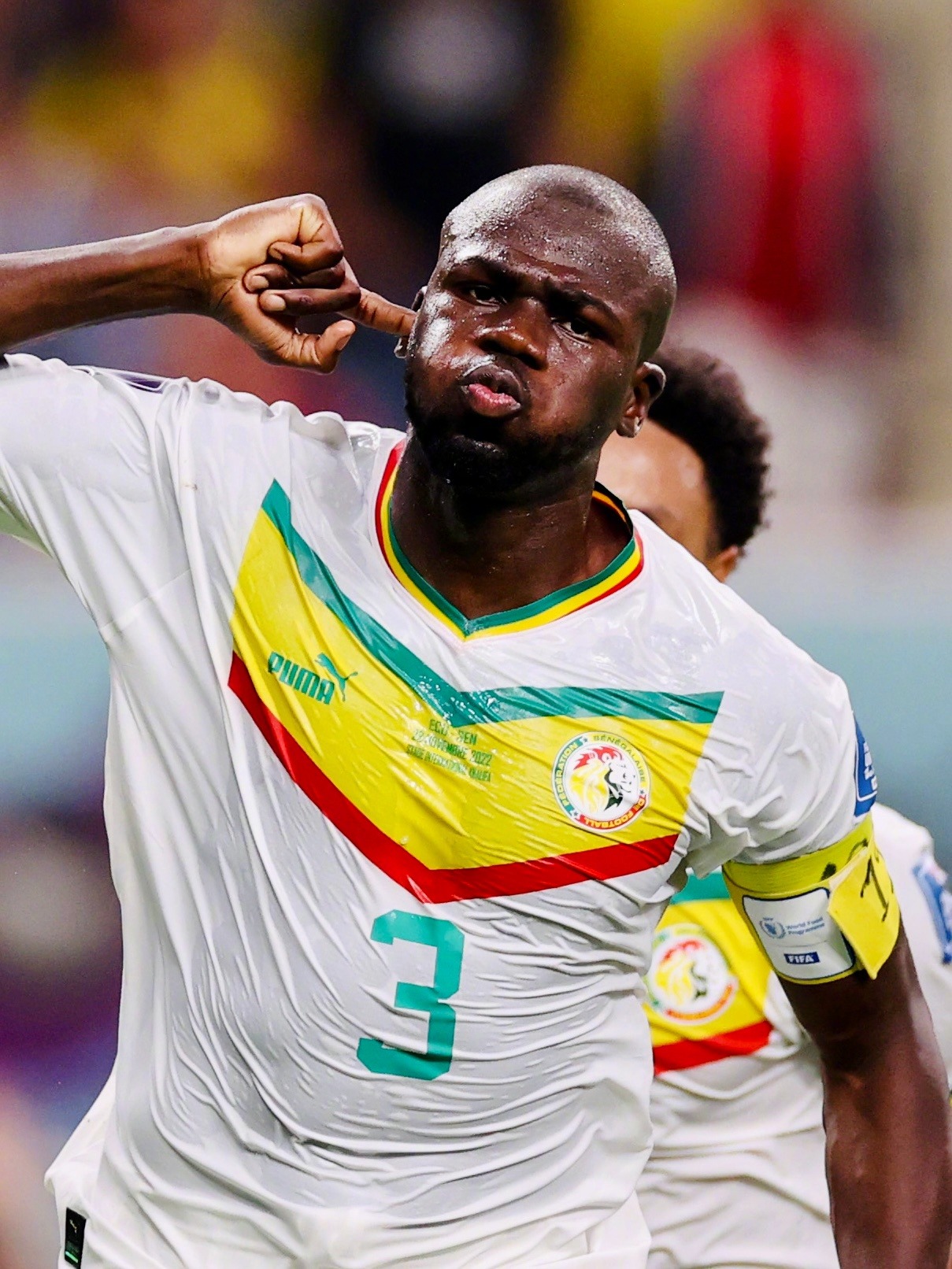 2015非洲杯(非洲荣耀！塞内加尔爆冷厄瓜多尔杀入16强，养伤马内激动发来贺电
