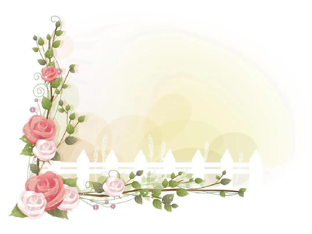 新手写作11条经验，你掌握了多少