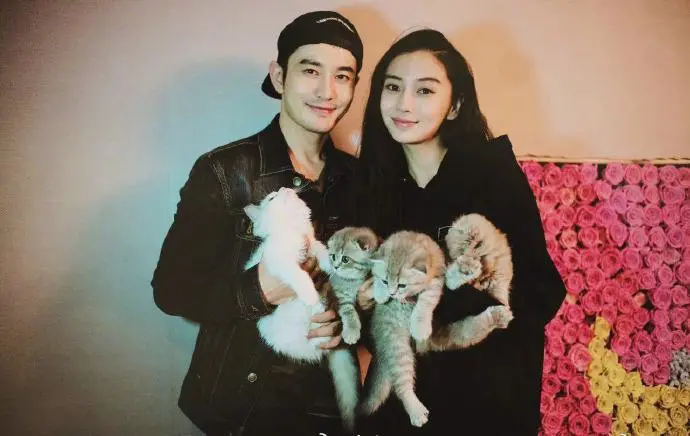 杨颖黄晓明官宣离婚,网友神评论太冷酷:以利相交者,利尽则散