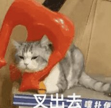 每天都在用的表情包，竟然是一个百大UP主？