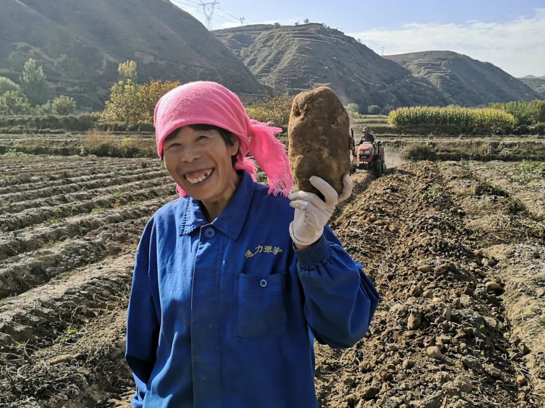 没想到吧，最能代表甘肃的美食，不是牛肉面？