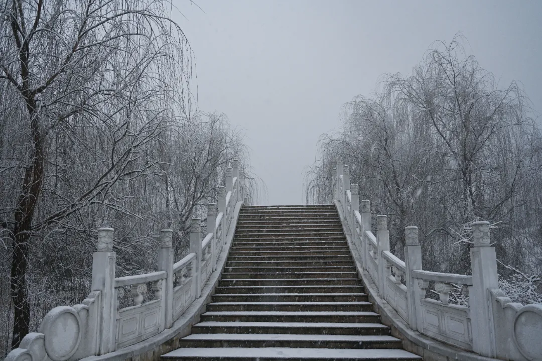 与你一起邂逅洛师初雪