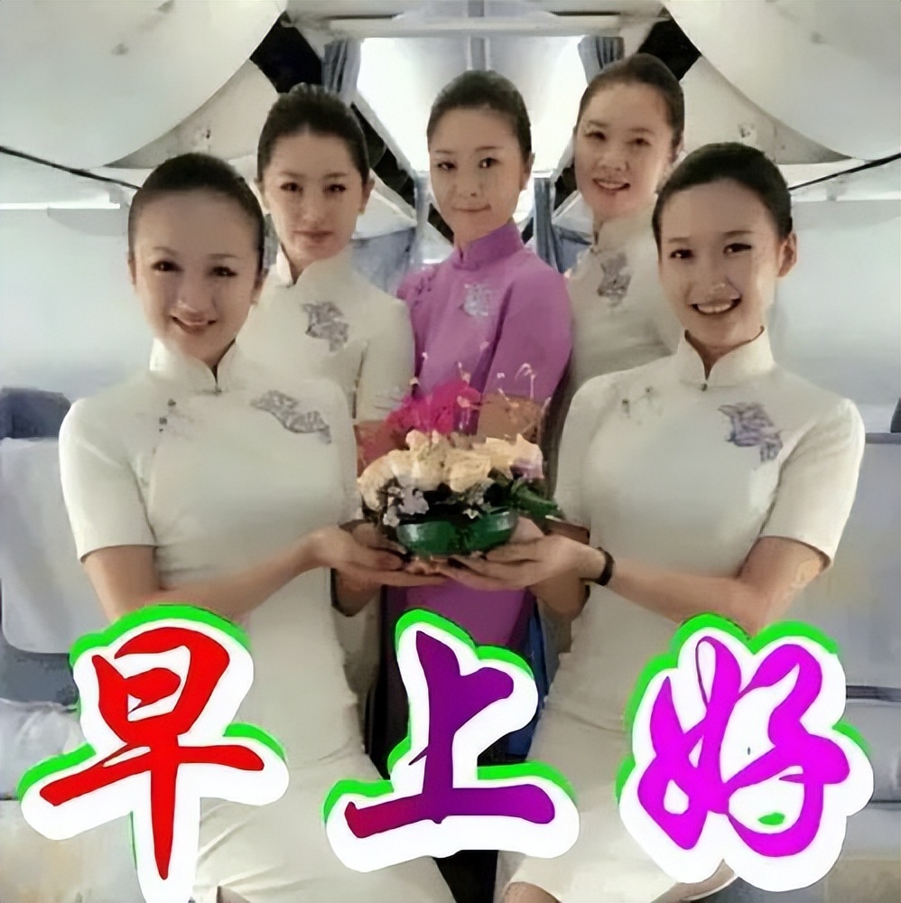 新的五月早上好鲜花图片合集 祝你天天好心情、事事都顺意图片