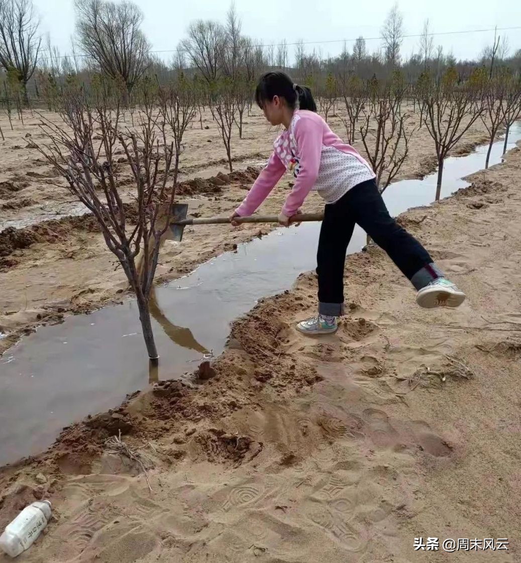 节能有我 绿色共享,节能有我绿色共享内容