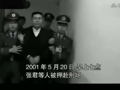 湖南暴徒张君：6年杀26人，劫财600多万，5个情妇四个被判处死刑