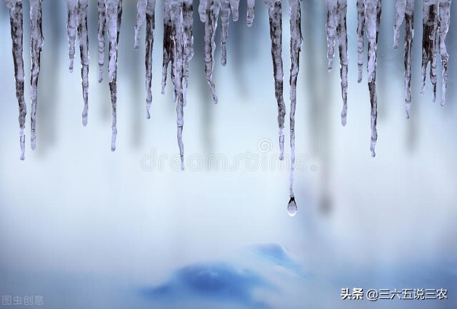 2022年春天有倒春寒吗？俗语“春打六九头，耕牛不停歇”能预兆