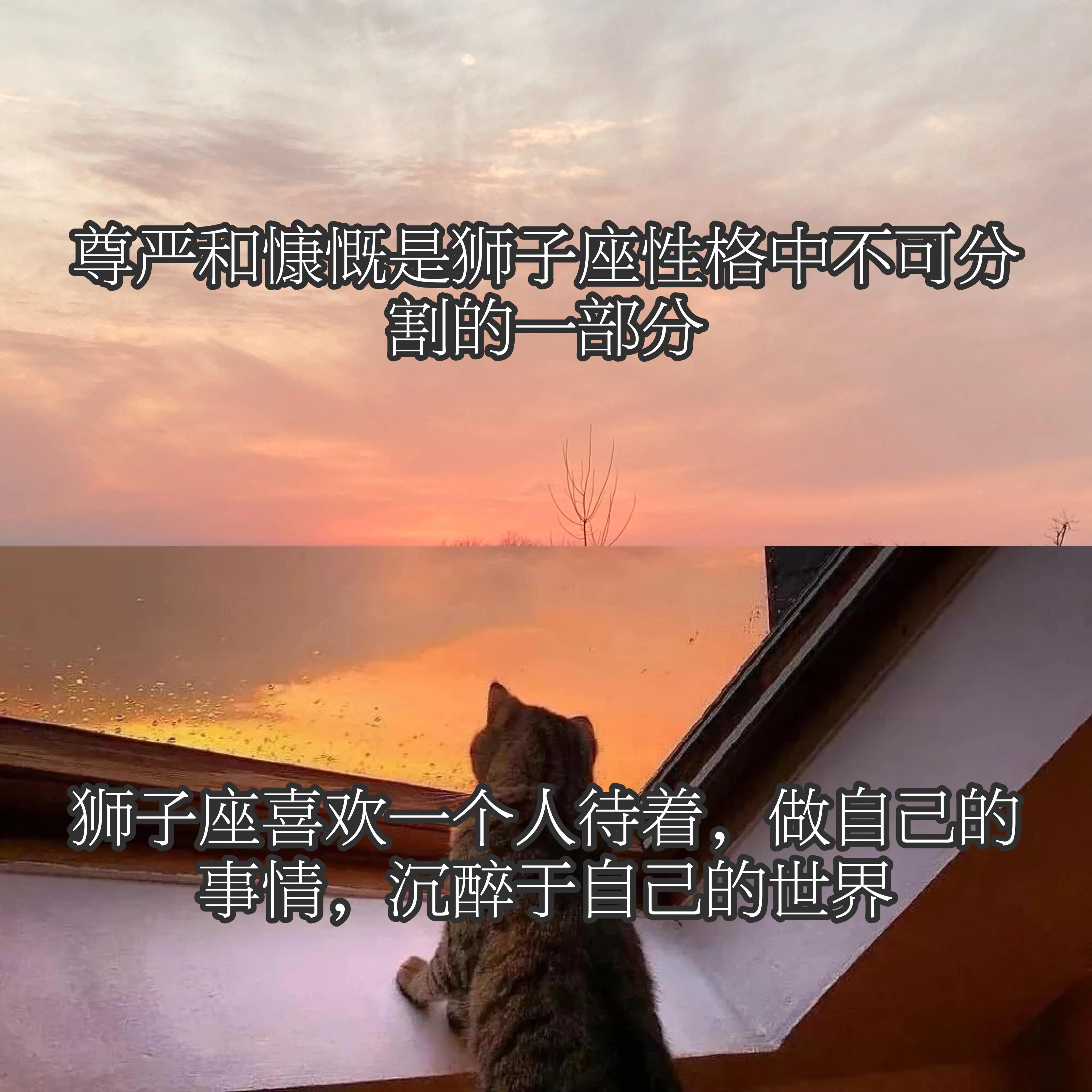 獅子座的優美句子帶字