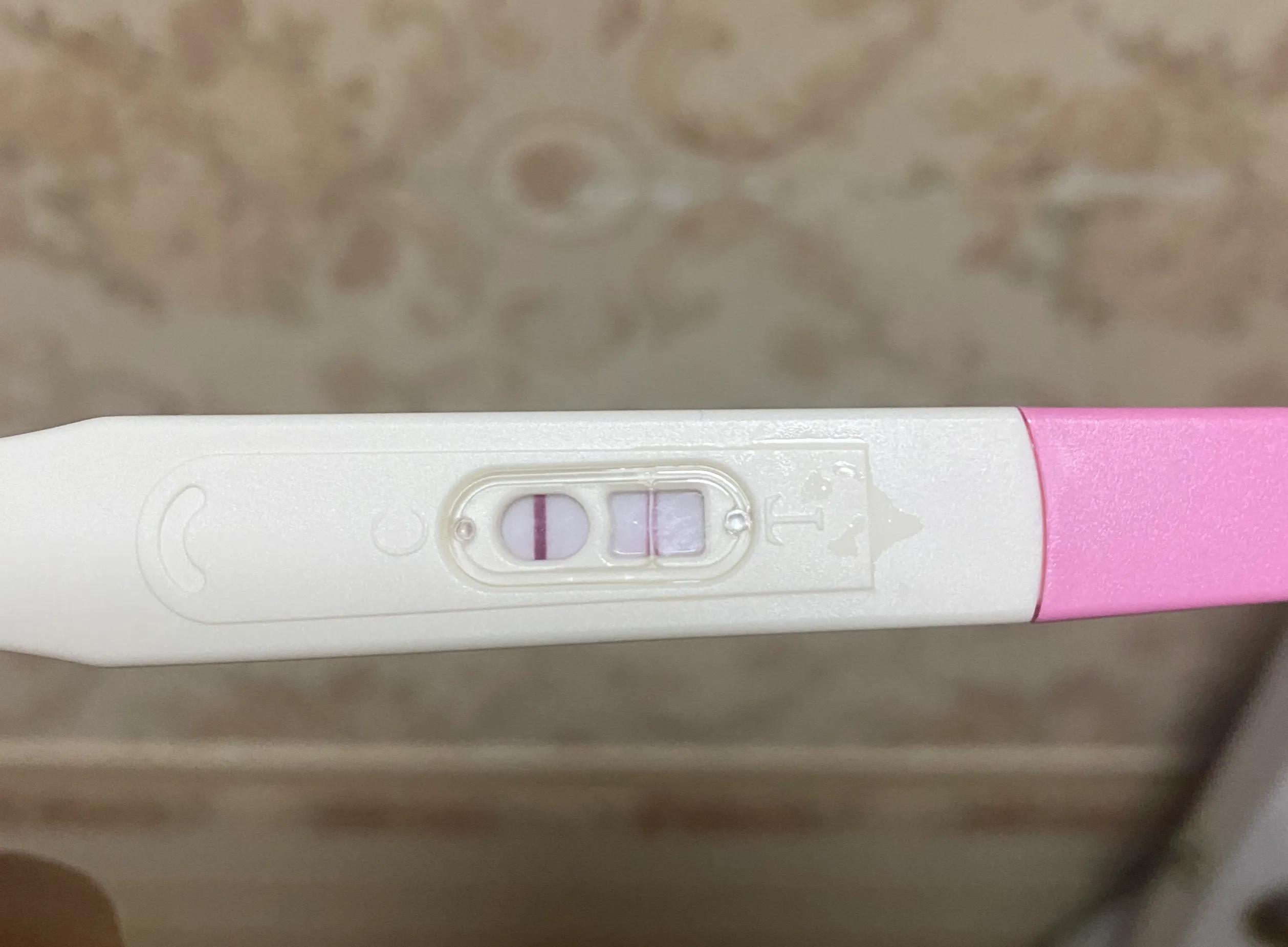 孕妇食谱书籍推荐（孕妇详细食谱）