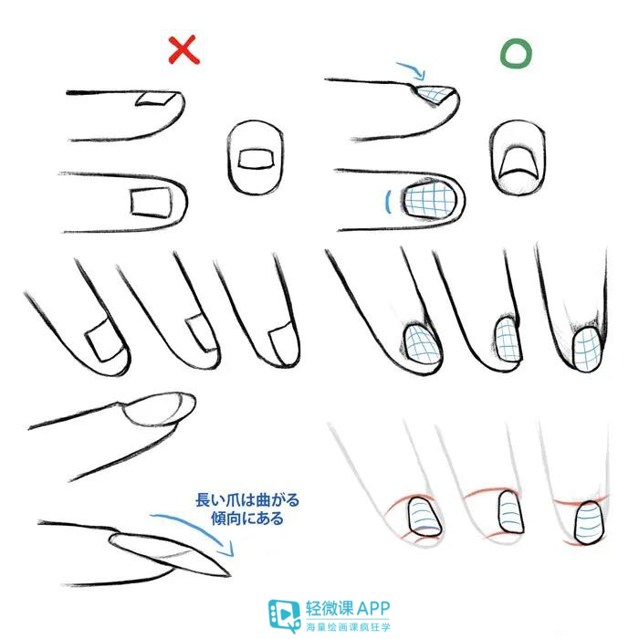 如何绘画手部？手部绘画教程