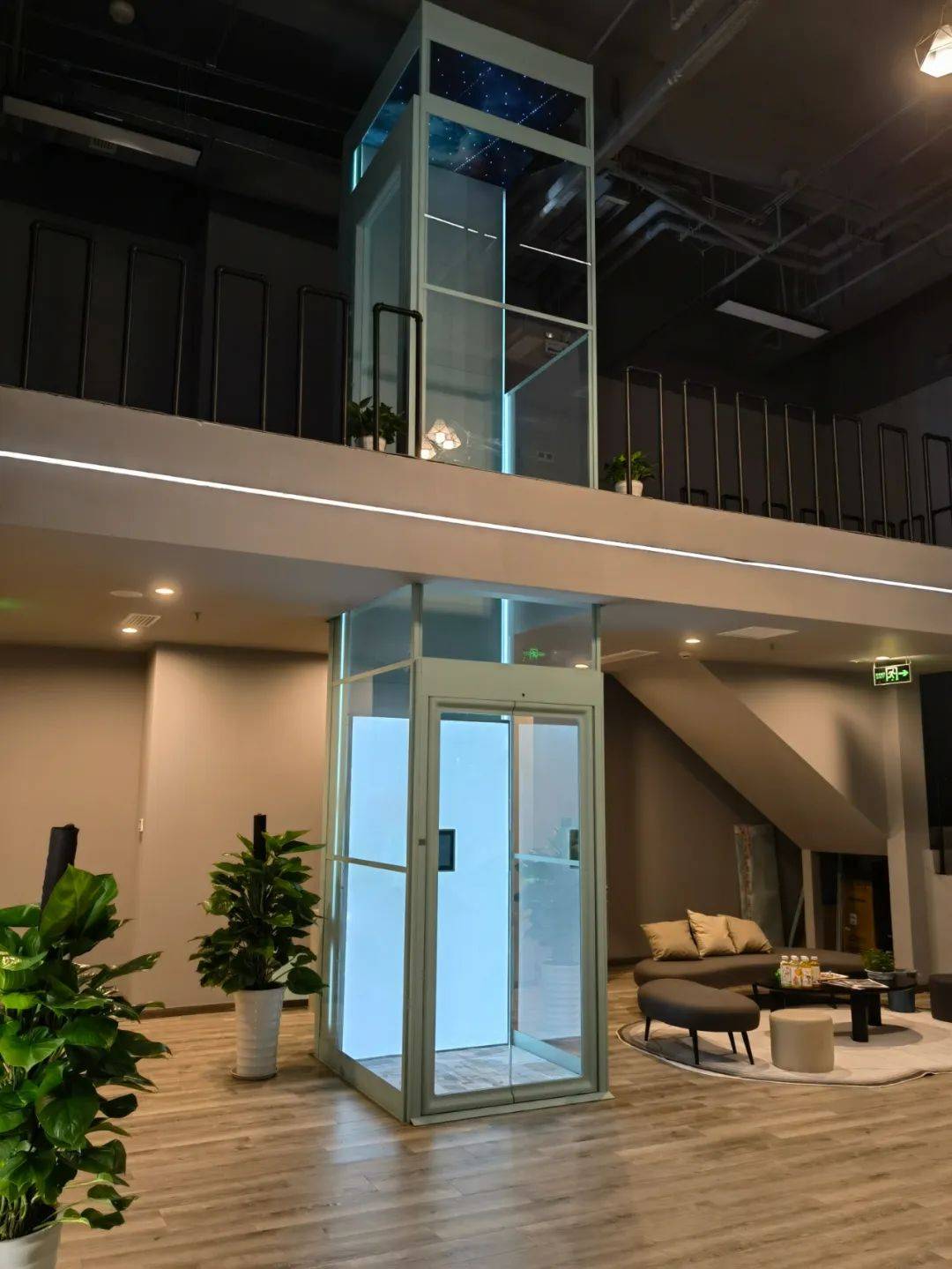 上峙螺杆家用别墅电梯