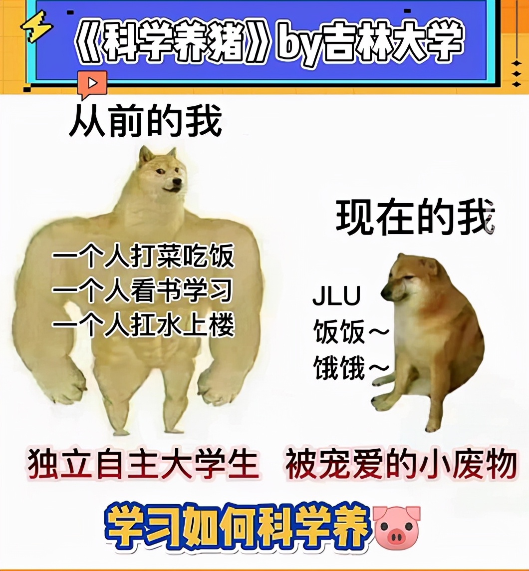 吉林大学的科学“喂养”，伙食好不算，餐后福利更像“付费”项目