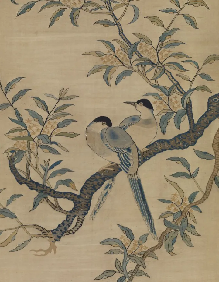 喜鹊的寓意和象征意义 -生活知识库-动动脑