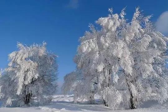 一川雪色，满城烟火，万丈红尘中，闲情几许？