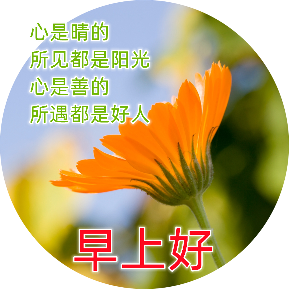 清晨暖心的早安问候祝福语短信 最好的快乐是平安 最好的平安是健康图片