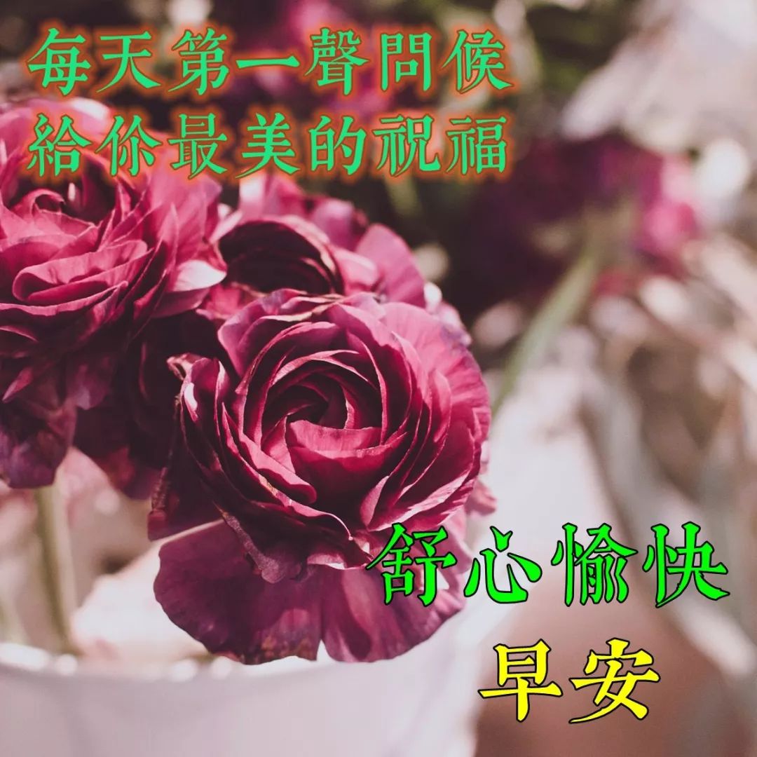 清晨问候大家早上好的动态图表情图片 幸福从早安开始图片
