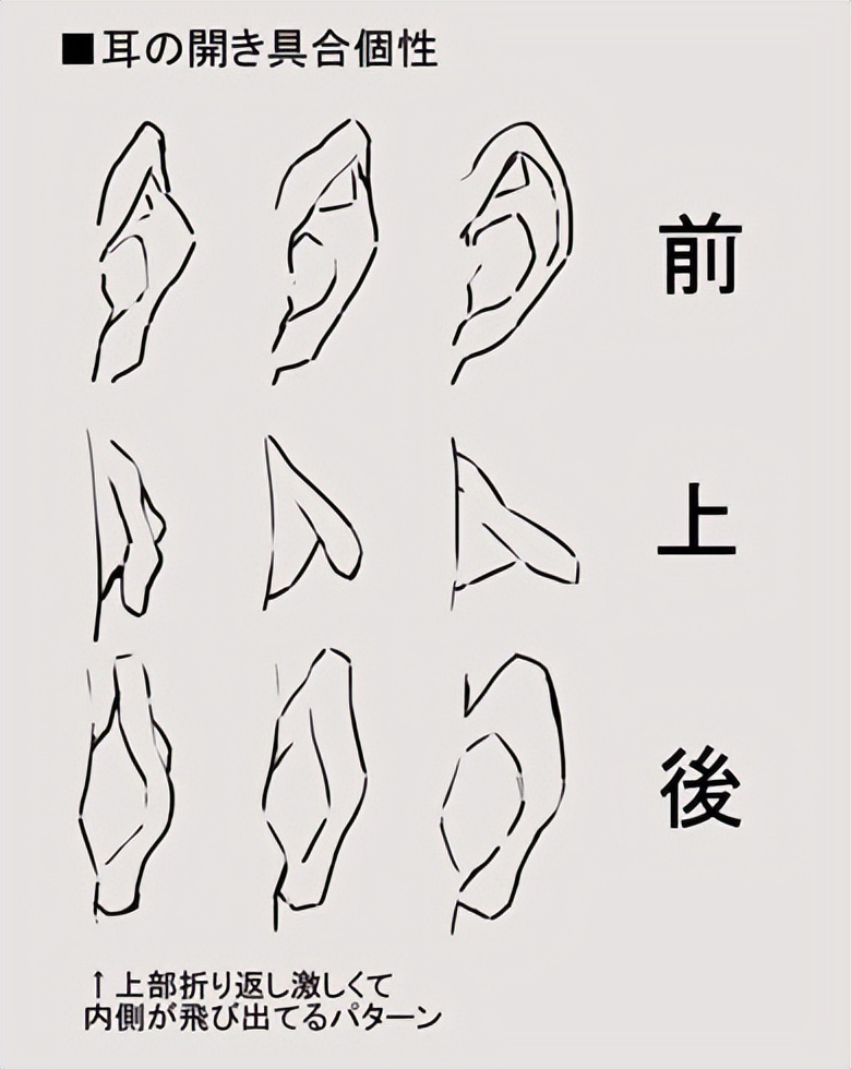 耳朵结构怎么画各种角度的耳朵画法教程