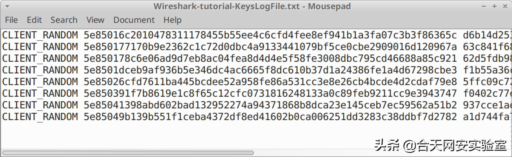 Wireshark教程：解密HTTPS流量