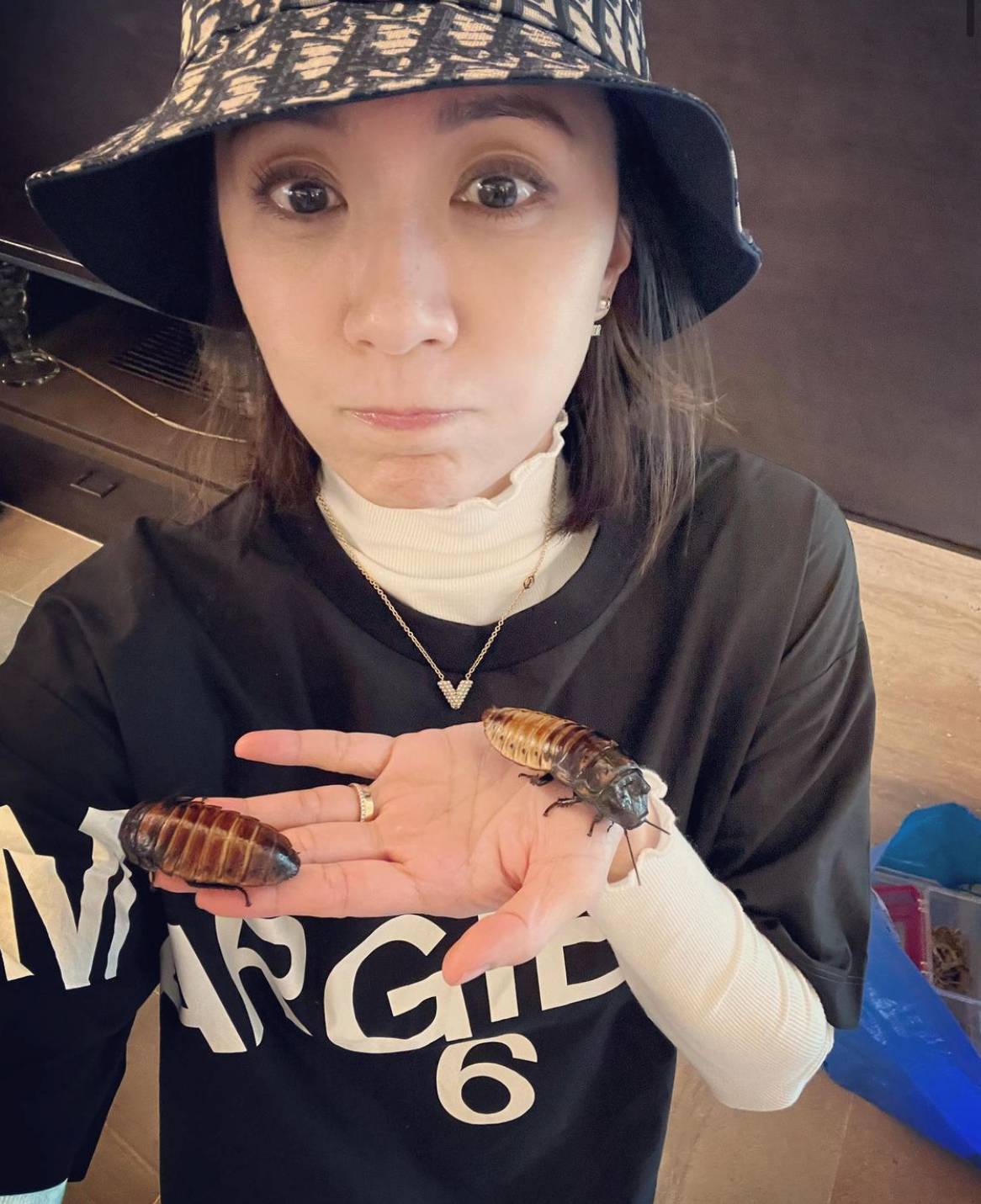 47岁贾静雯带孩子郊游！手捧虫子太抢镜，女儿脖子上挂条蛇好淡定