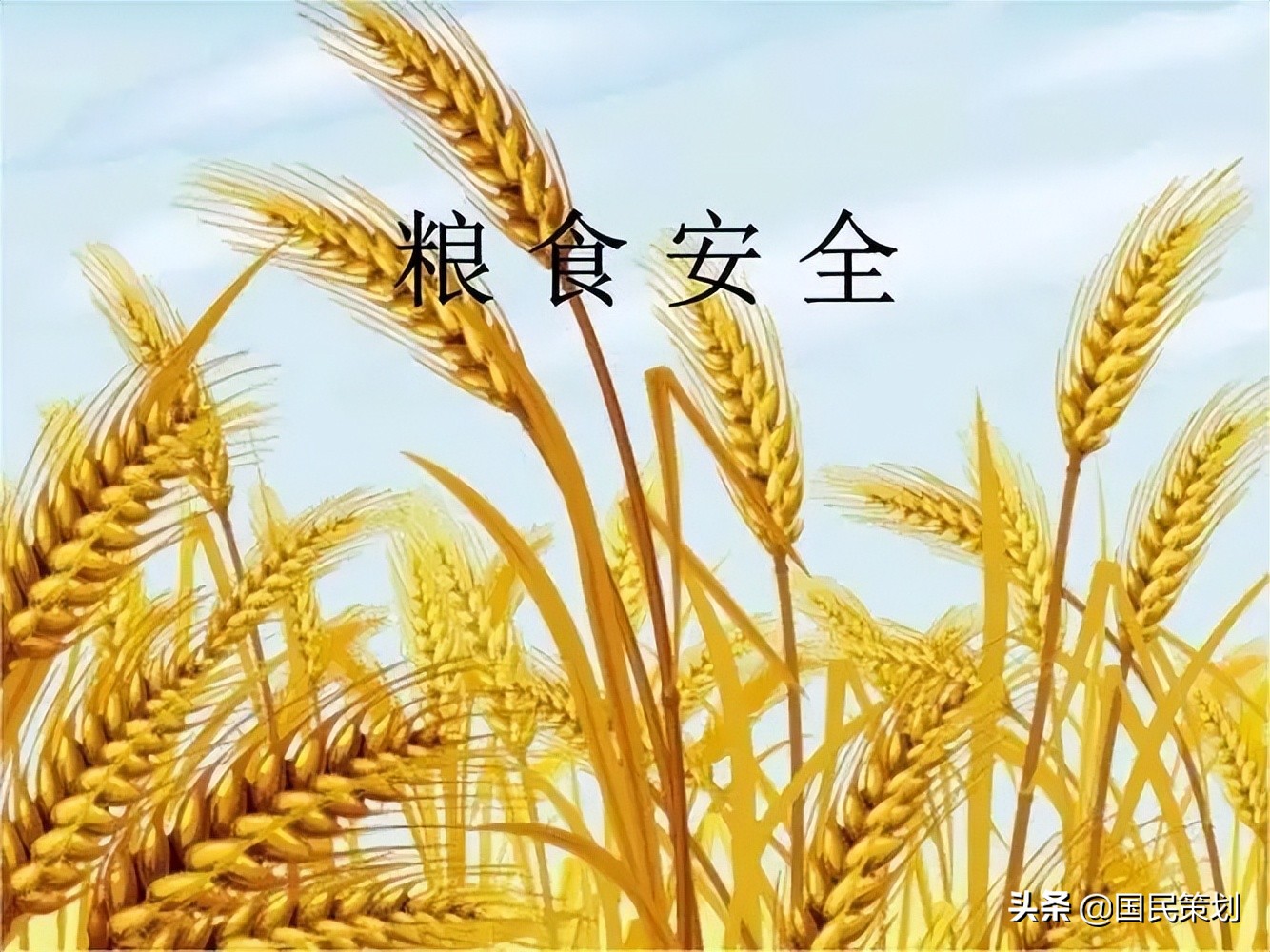 粮食危机？中国抓紧落实九个方面，给农民发放补贴，这样应对