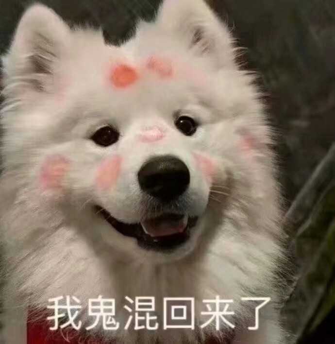 好想找对象丨搞笑文案丨有趣的灵魂,请了解一下