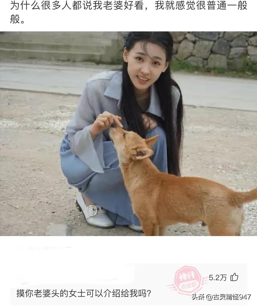 如果蔡徐坤和王一博组成新的组合叫什么组合好呢？网友：钵钵鸡