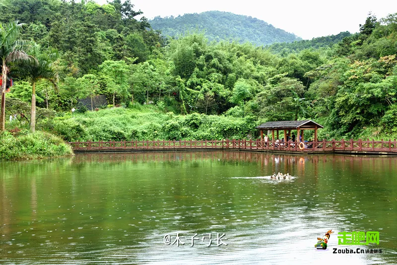 北海隔壁，广西这座安逸老城！高铁直达，嗦粉水果自由，早该火了