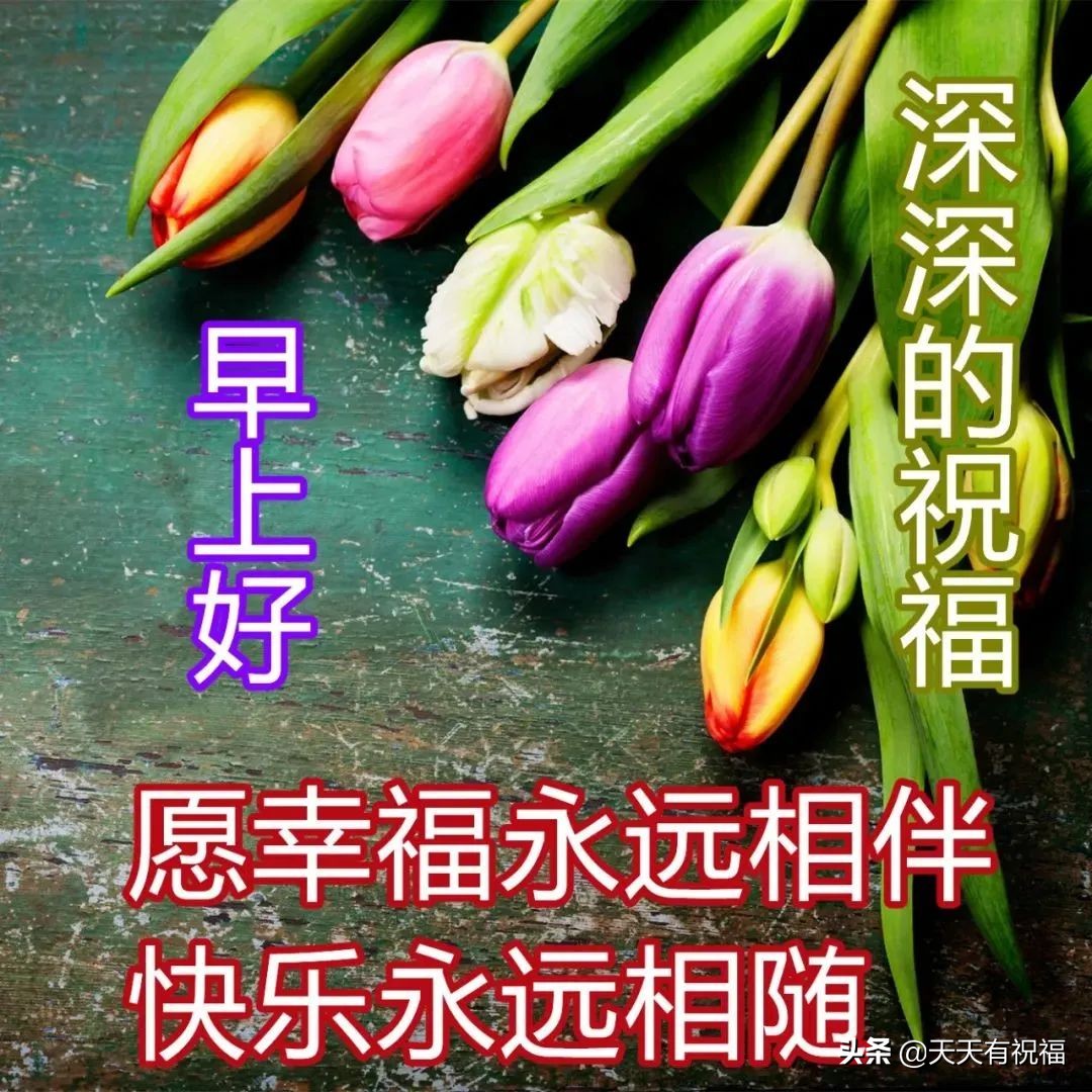 最新版早安短信问候祝福语大全 最美早安问候语图片带字温馨