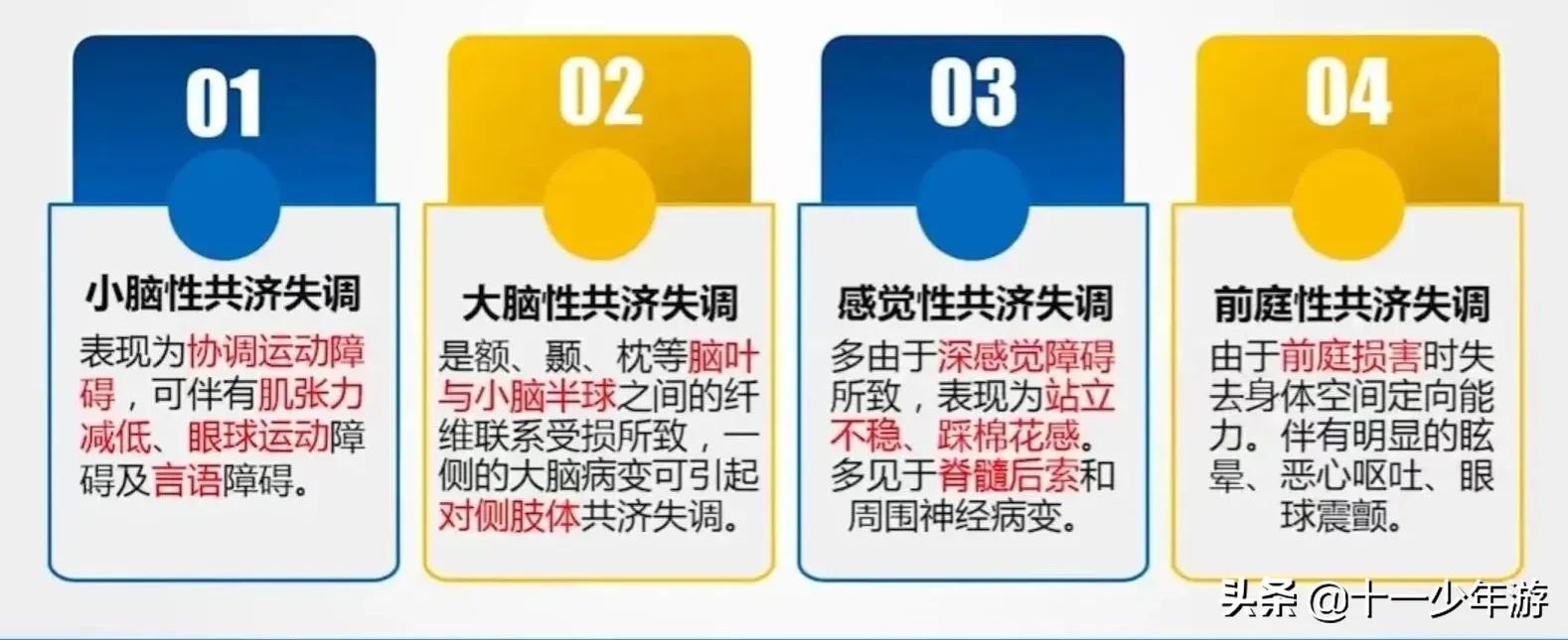 nba被动肌张力包括有哪些(运动系统解剖、生理及损害表现)