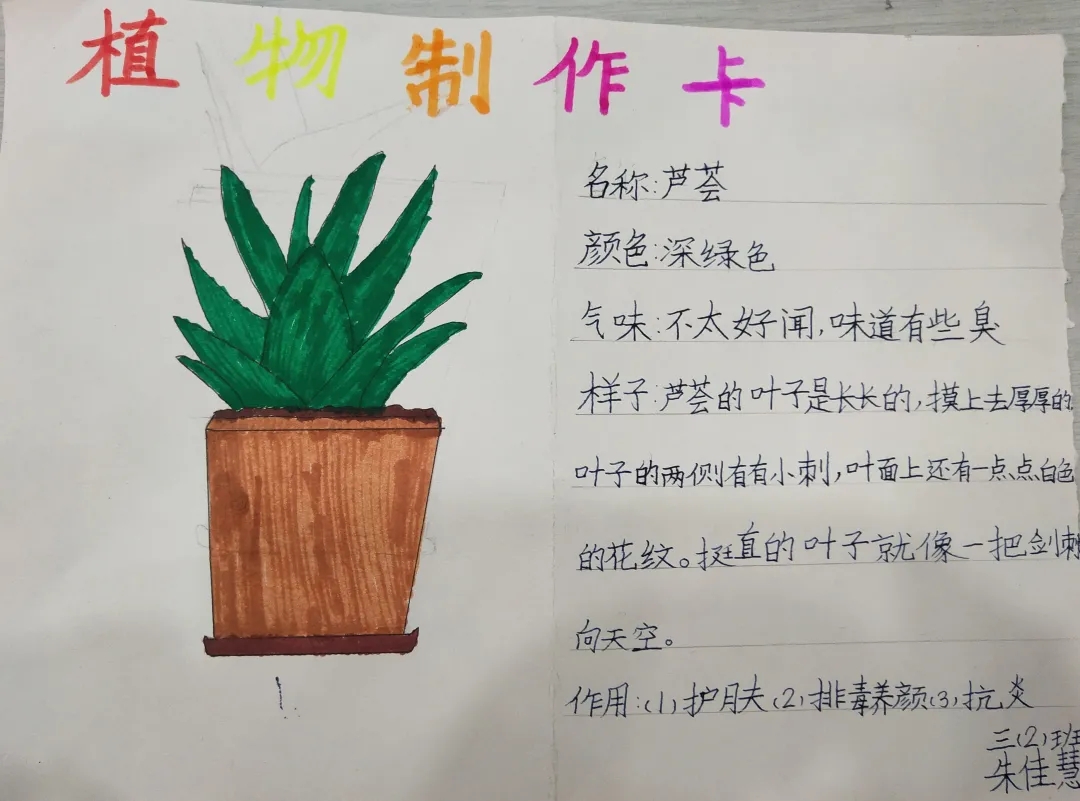 芦荟"神气的"小仙人掌,发挥了自己的想象,为了更加了解自己的朋友,还