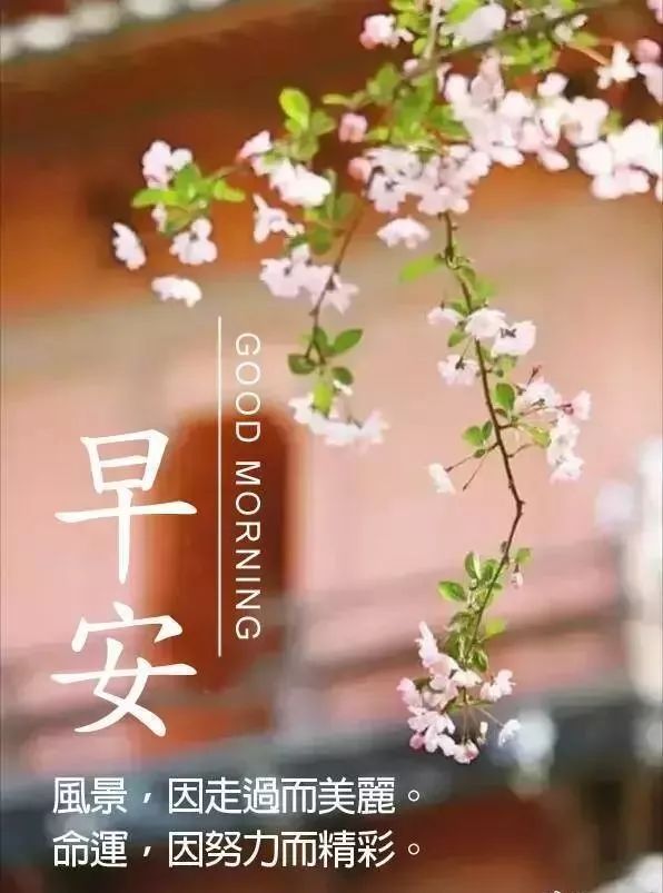 朋友圈早上好祝福语 早上好问候语及关心话 问候是一种甜蜜的牵挂图片