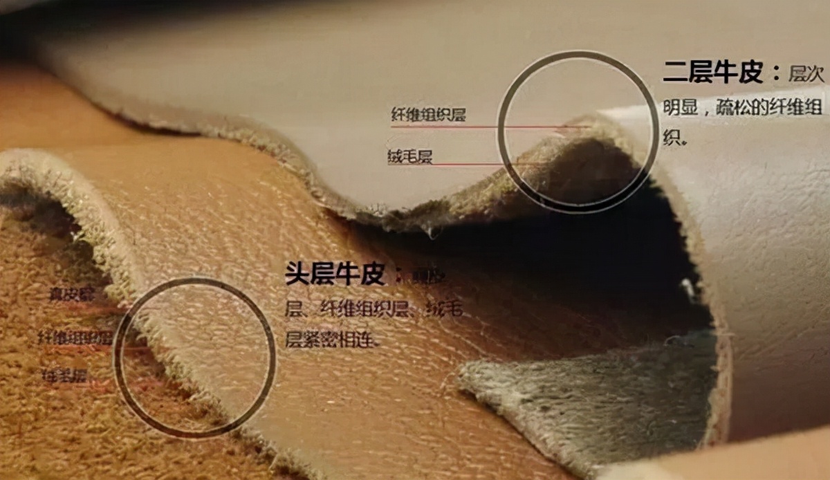 皮革也有“鄙视链”，为什么说苯胺皮才是真皮中的王者？