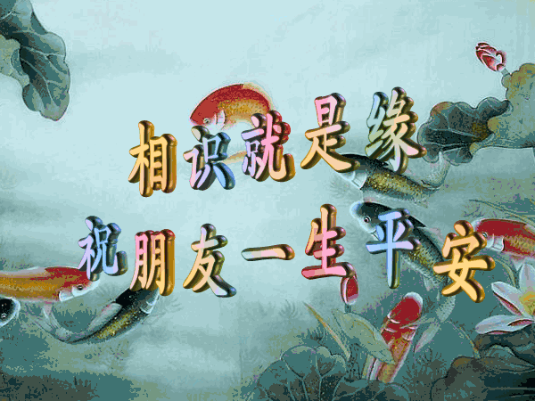早上好问候语温馨语句 今日更新早上好动态表情包 亲爱的朋友早上好图片
