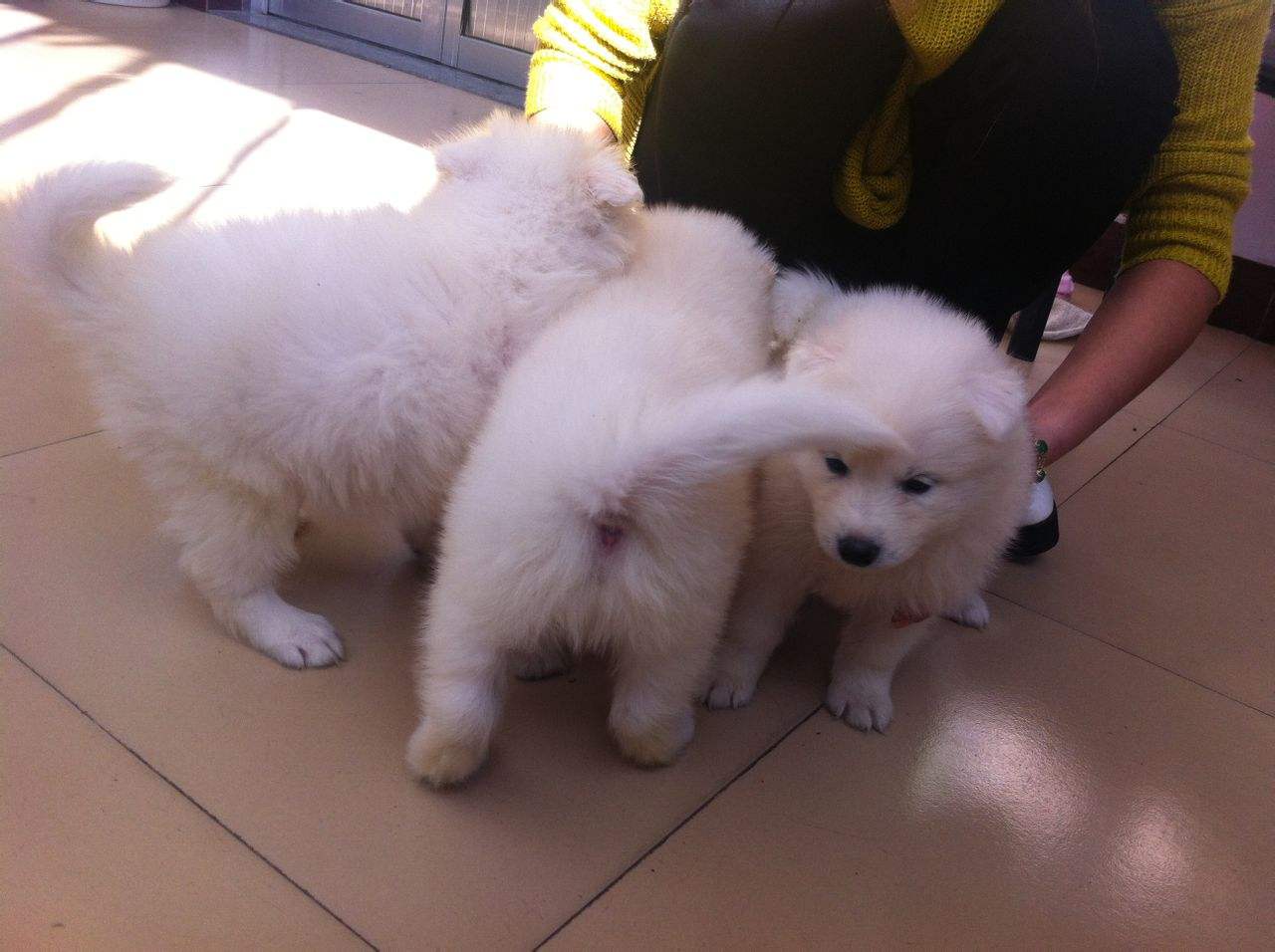 电商购物很便宜，但这5类商品不建议大家在网上买，顾客容易吃亏