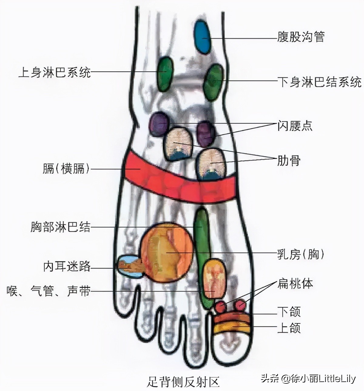 灸法选穴的基本原则