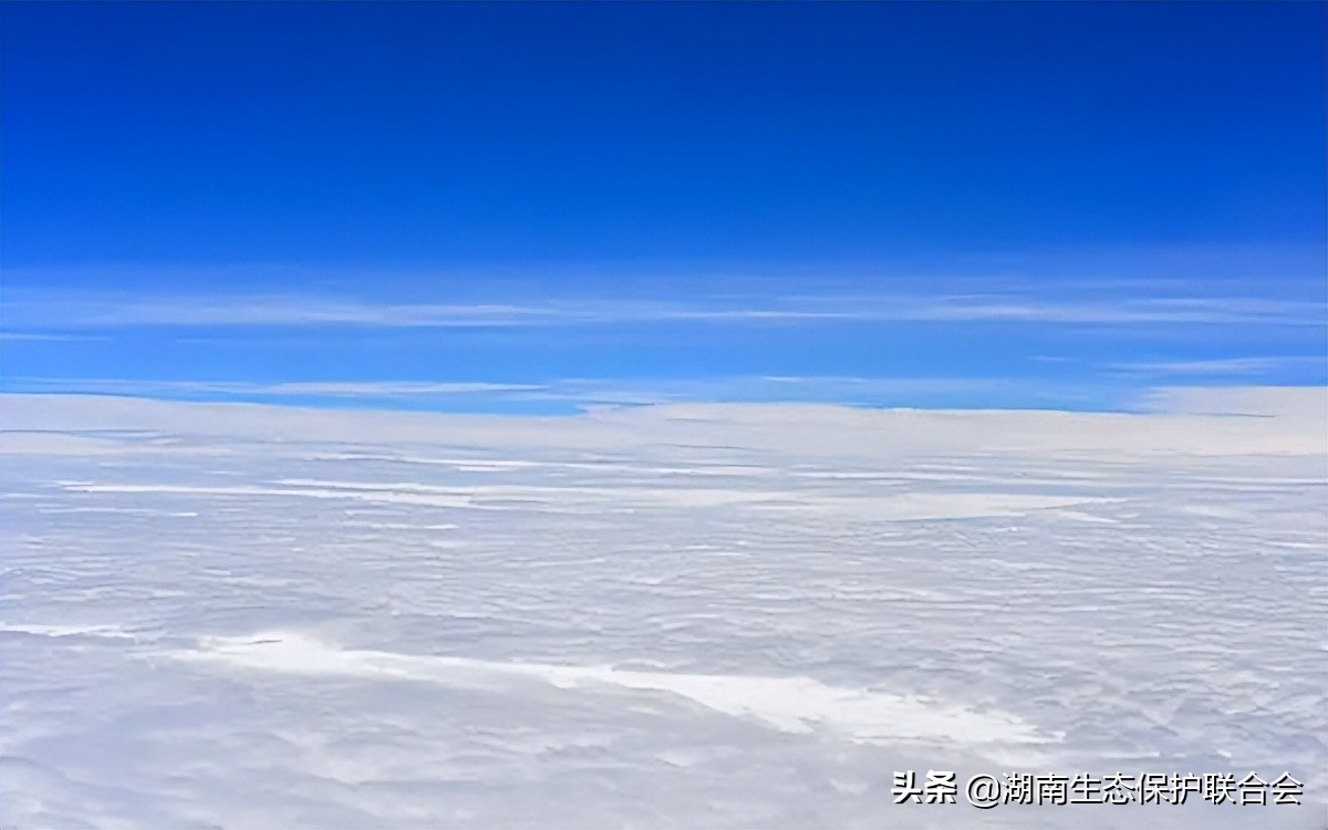 绿色百科 | 为什么说生物多样性是我们的生命？