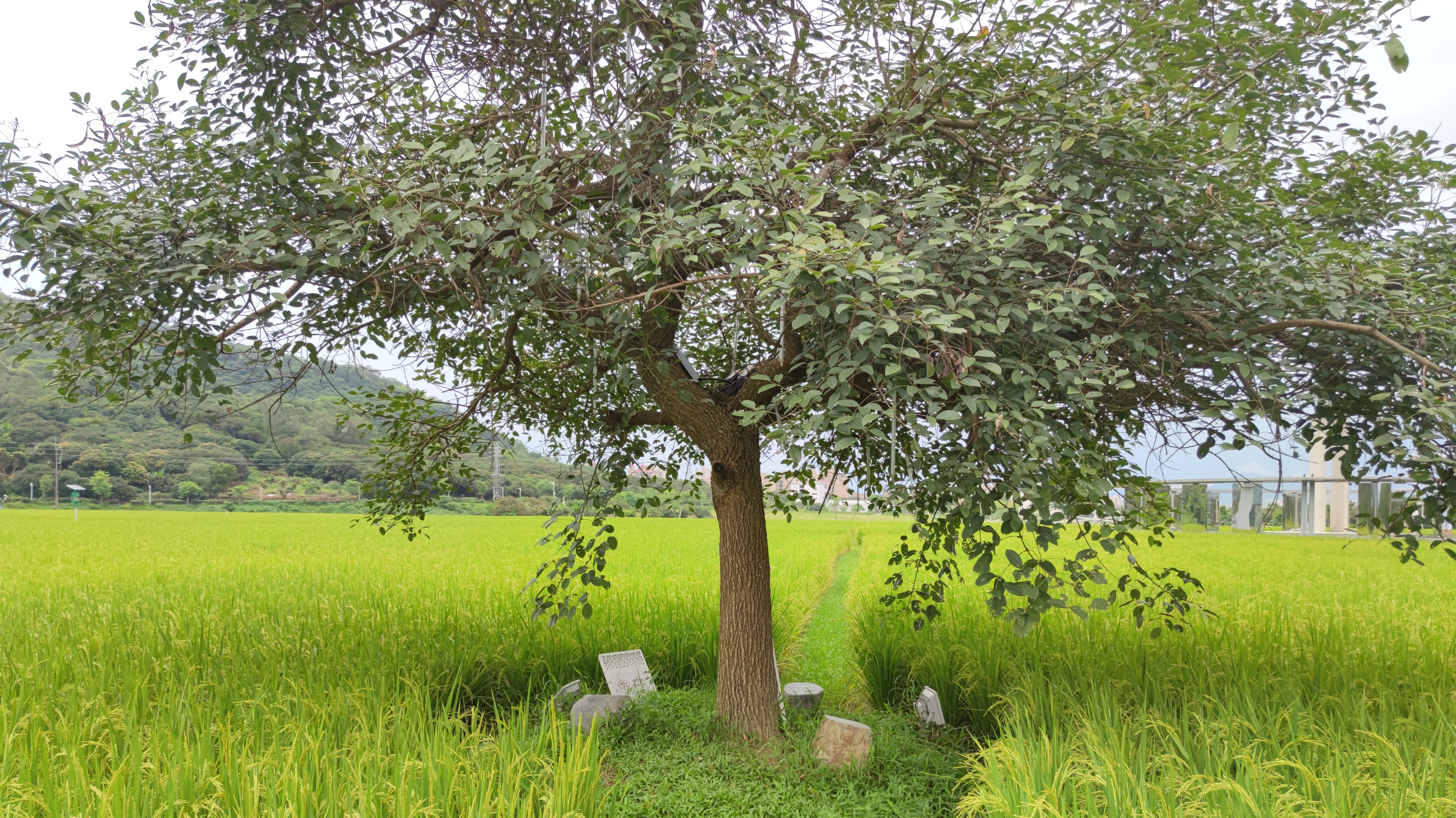 附近温泉度假村哪里好(从化风云岭附近新开了个轻奢温泉酒店，在房间泡温泉赏景，很惬意)