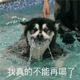 别有风趣段子 瞎比划嘎哈,整个工地都中国人图片