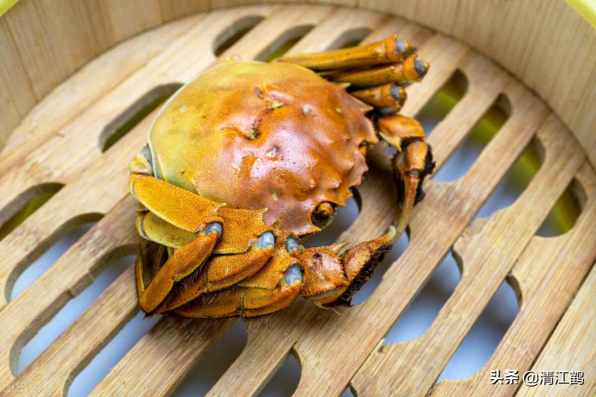 河里的螃蟹是吃什么食物长大的？过好"四关"是成功饲养螃蟹的关键