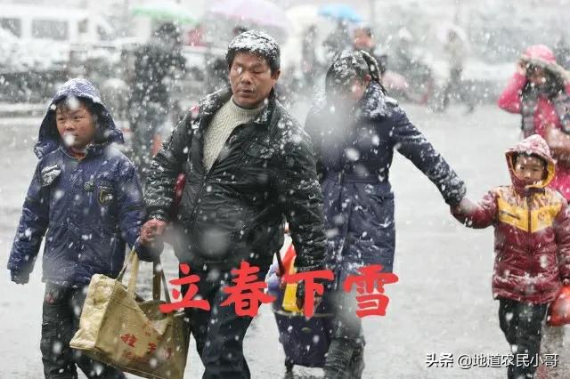今日小寒，小寒不寒，春节还能冷到哭吗？看民间谚语怎么说
