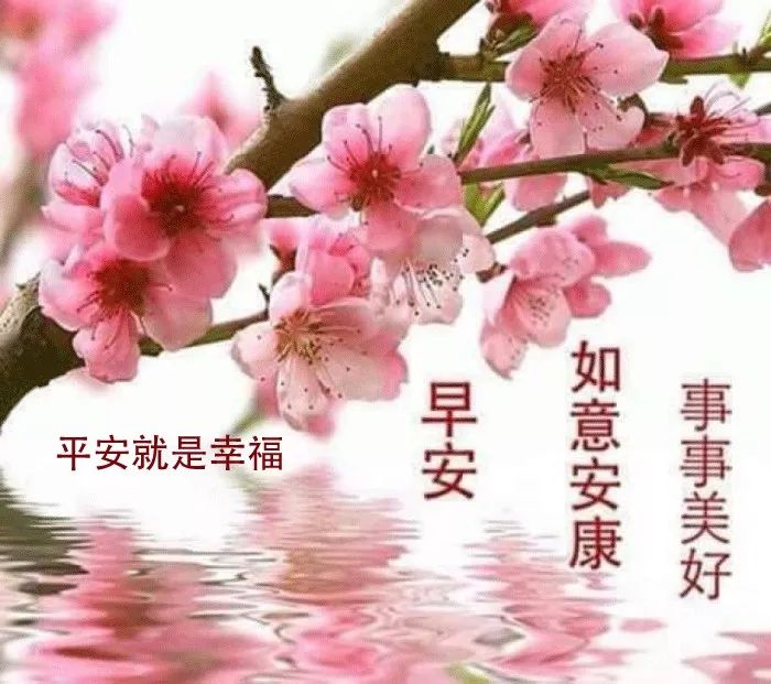新的一天漂亮早上好图片表情包 新的一天快乐如意、祝福与你相伴图片