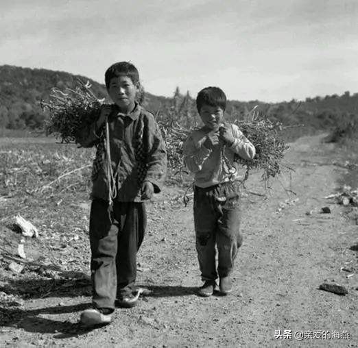 44张八十年代的老照片:能看懂的人都老了,致我们逝去的青春