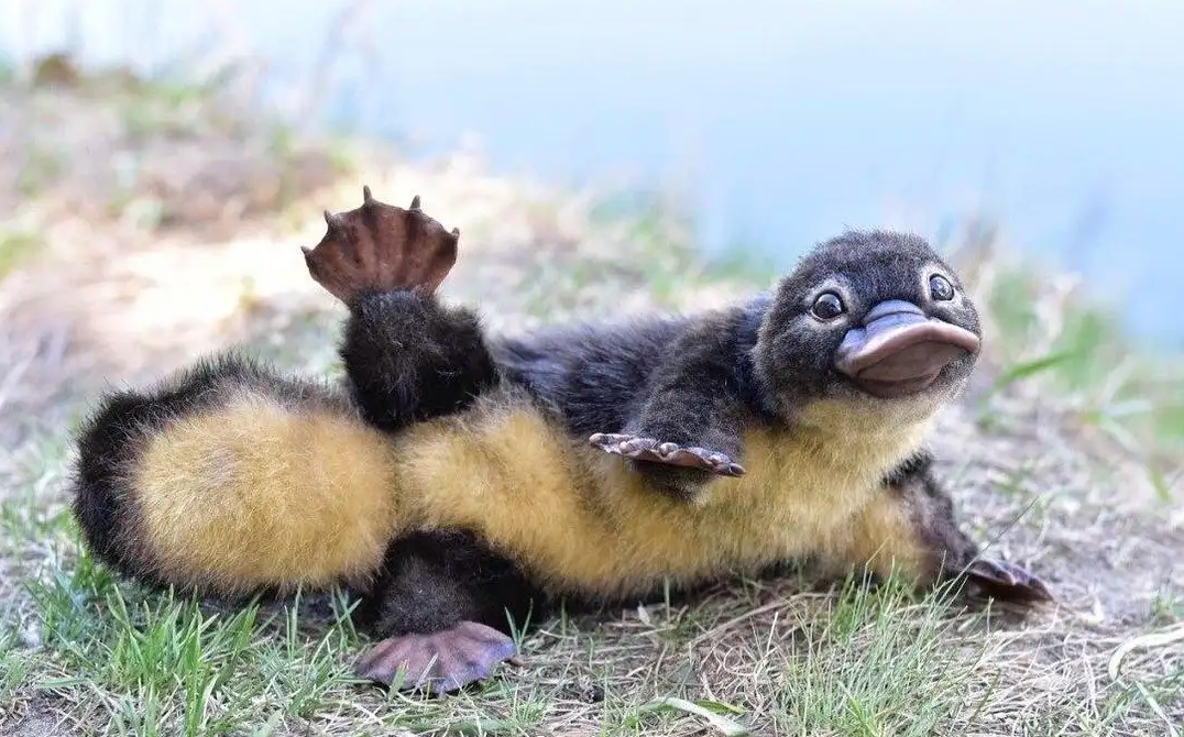 ����������������ѧ�ң�����21���²����£���������10�»�̥